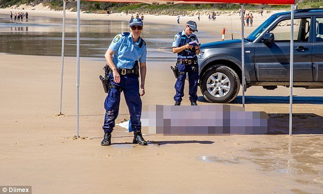 Τρόμος από επίθεση λευκού καρχαρία: «Είδα ένα πτερύγιο και μετά η θάλασσα γέμισε με αίμα» [εικόνες] | iefimerida.gr 1