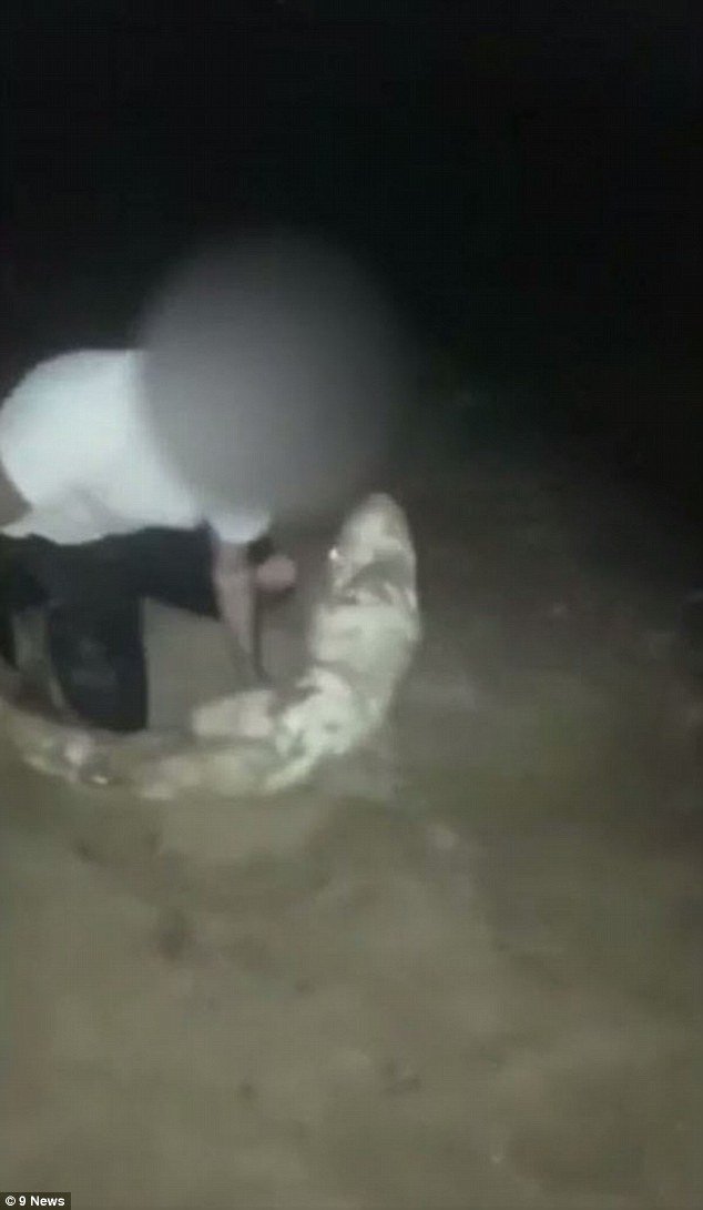 Φρικτό: Eδεσαν και έσυραν καρχαρία με το αμάξι μέχρι να πεθάνει [βίντεο] | iefimerida.gr 1