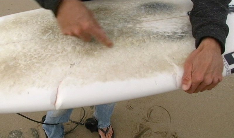 Αυστραλία: Σέρφερ δέχτηκε επίθεση από λευκό καρχαρία και τη γλίτωσε επειδή του έριξε... μπουνιά! [εικόνες]  | iefimerida.gr 1