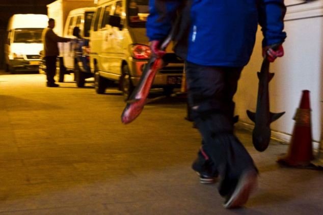 Σοκ: Ενυδρείο 33 τόνων έσκασε παρασέρνοντας περαστικούς [εικόνες + βίντεο] | iefimerida.gr 3