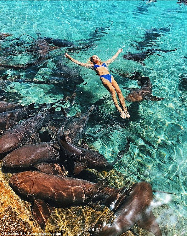 «Ενιωθα τα δόντια του να βυθίζονται στο χέρι μου»: Μοντέλο δέχθηκε επίθεση από καρχαρίες [εικόνες]  | iefimerida.gr 0