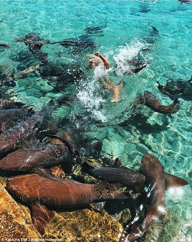 «Ενιωθα τα δόντια του να βυθίζονται στο χέρι μου»: Μοντέλο δέχθηκε επίθεση από καρχαρίες [εικόνες]  | iefimerida.gr 1