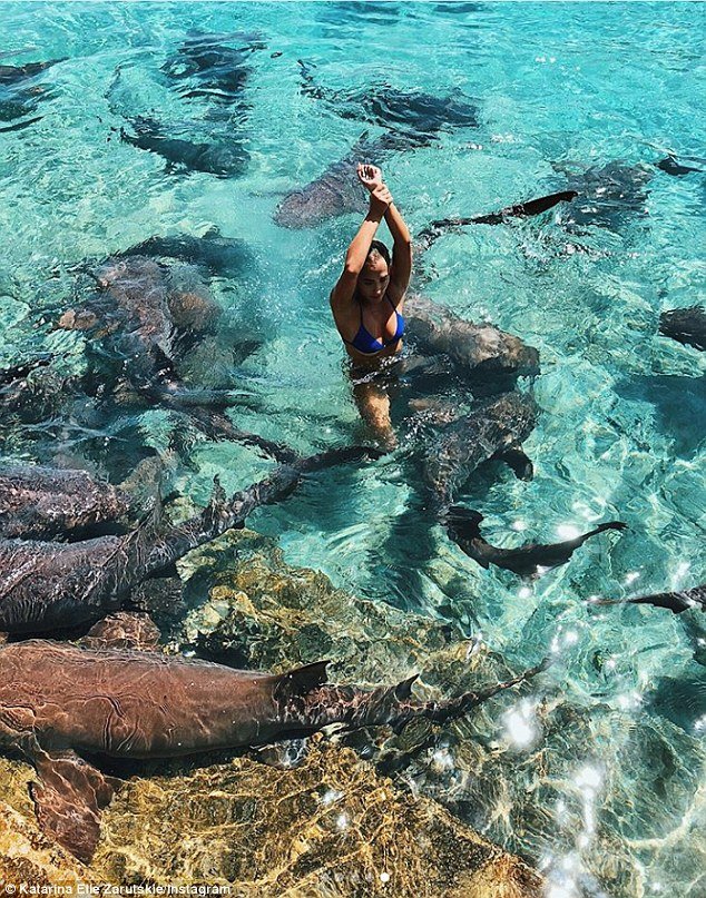 «Ενιωθα τα δόντια του να βυθίζονται στο χέρι μου»: Μοντέλο δέχθηκε επίθεση από καρχαρίες [εικόνες]  | iefimerida.gr 2