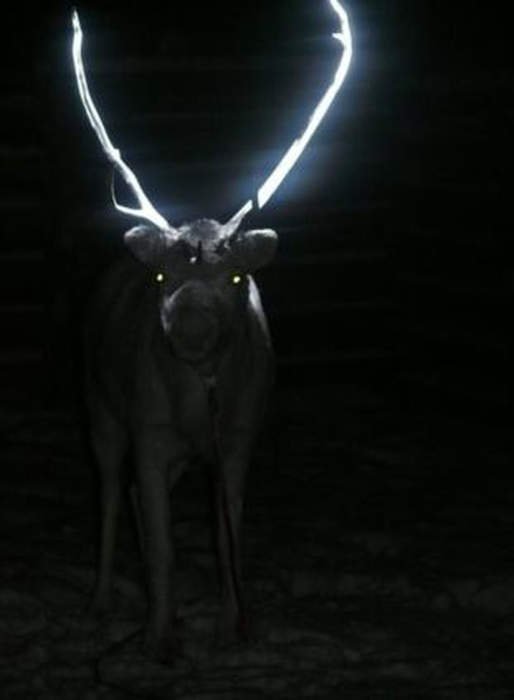 Τάρανδοι με κέρατα που φωσφορίζουν… | iefimerida.gr 1