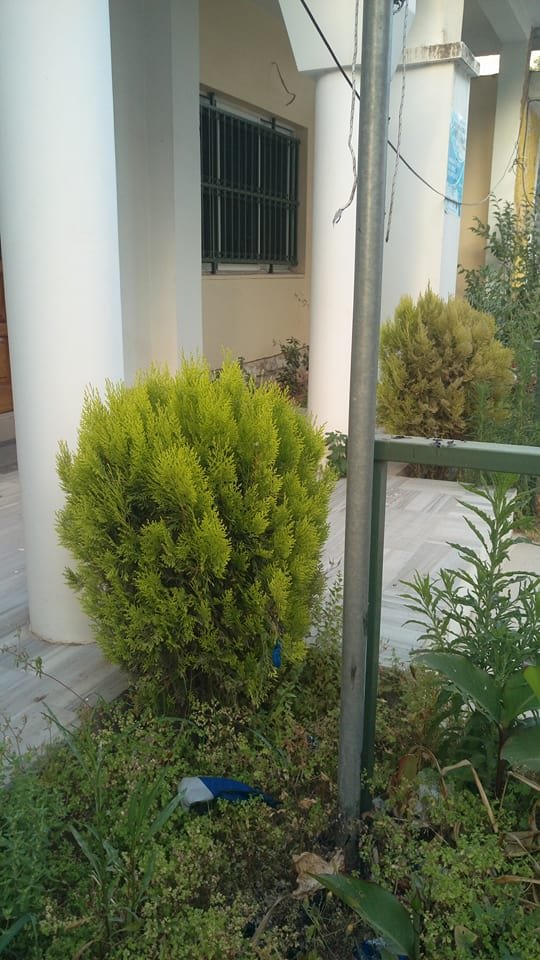 Αλβανοί έκαψαν την ελληνική σημαία στους Αγιους Σαράντα [εικόνες] | iefimerida.gr 2