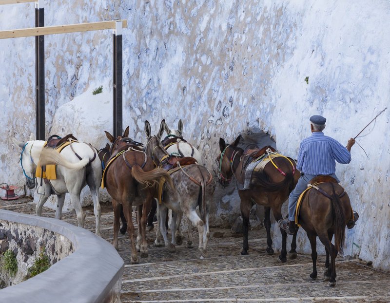 H Daily Mail βρήκε 7 λόγους που κάνουν την Ελλάδα ξεχωριστή πέρα από τις παραλίες και τα νησιά της [εικόνες] | iefimerida.gr 6