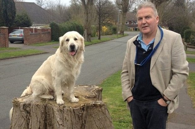 Αυτός ο άνδρας θα πεθάνει σήμερα -Ανακοίνωσε μέσω διαδικτύου την ημέρα της κηδείας του [εικόνες]  | iefimerida.gr 2