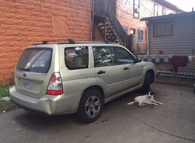 Iερόδουλη σκότωσε με μια σφαίρα στο κεφάλι κατά συρροή δολοφόνο -Θα ήταν το δέκατο θύμα του [εικόνες] | iefimerida.gr 4