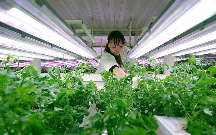  Η χειρότερη δουλειά του κόσμου: Ψάχνουν για χρυσό στους μείον 35 βαθμούς Κελσίου [εικόνες]  | iefimerida.gr 5