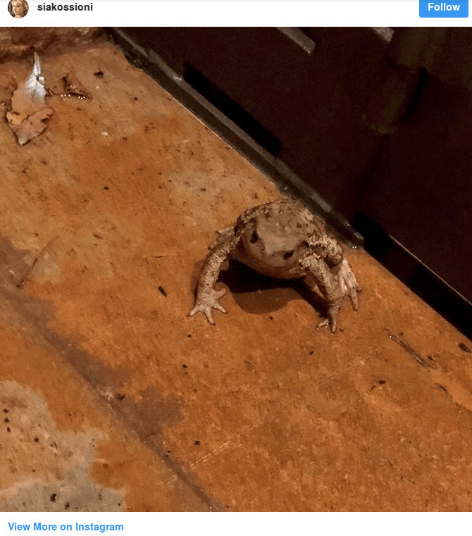 Τι βρήκε η Σία Κοσιώνη στην πόρτα της και την έκανε να κλάψει [εικόνα] | iefimerida.gr 0