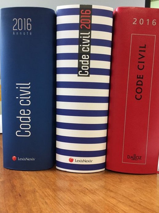 Συγκλονιστικοί Γάλλοι: Δημιούργησαν την τρικολόρ με κάθε πιθανό τρόπο [εικόνες] | iefimerida.gr 1