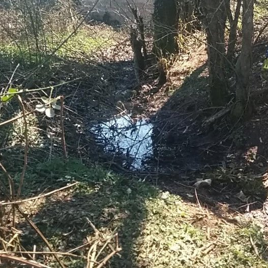 Εδώ βρέθηκε ο Βαγγέλης Γιακουμάκης νεκρός – Εκανε τρισάγιο παπάς, κάτοικοι αφήνουν λουλούδια [εικόνα] | iefimerida.gr 0