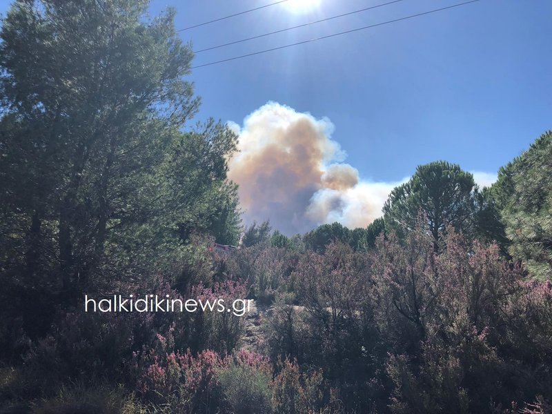 Οι Πυροσβέστες συνεχίζουν να δίνουν μάχη με τις φλόγες