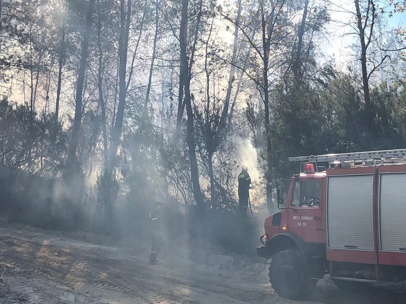 Κατακαίει πευκόφυτη περιοχή