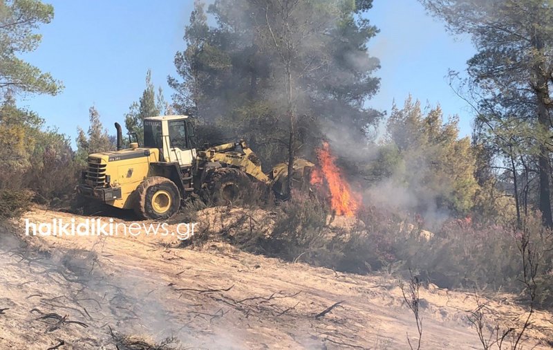 Να κηρυχθούν σε κατάσταση εκτάκτου ανάγκης οι κοινότητες Σάρτης και Συκιάς ζητά ο δήμος Σιθωνίας