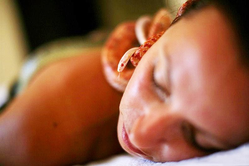 Σπα προσφέρει μασάζ με...φίδια [εικόνες] | iefimerida.gr 3