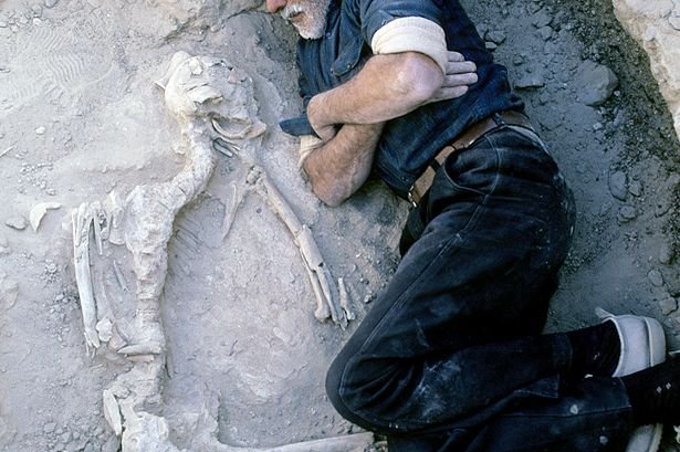 Αστεγος ζει στον τάφο του καλύτερού του φίλου εδώ και 13 χρόνια – Οι ζωντανοί τον τρομάζουν περισσότερο [εικόνες]  | iefimerida.gr 2