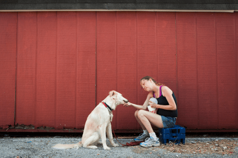 Αστεγοι και σκύλοι -Ενα δέσιμο ιδιαίτερο, βαθύ, μια αγάπη δυνατή και αμοιβαία [εικόνες] | iefimerida.gr 3