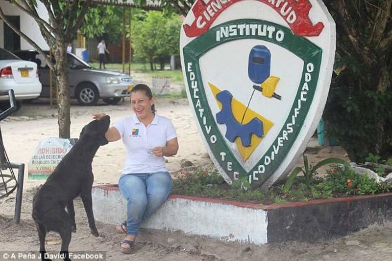 Ενας απίστευτος σκύλος -«Αγοράζει» κουλουράκι, πληρώνοντας με φύλλο δέντρου [εικόνες] | iefimerida.gr 3