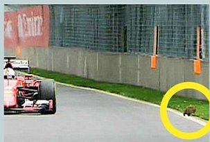 Ενας σκίουρος κόντεψε να τινάξει στον αέρα το Grand Prix του Καναδά [εικόνες] | iefimerida.gr 2