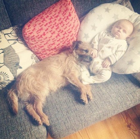 Η ιστορία της απόλυτης αθωότητας που λιώνει το Ιντερνετ -Ο σκύλος και το μωρό που κάνουν τα πάντα μαζί [εικόνες] | iefimerida.gr 0