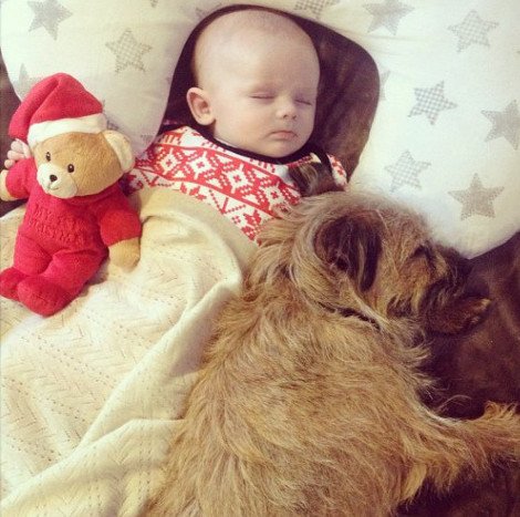 Η ιστορία της απόλυτης αθωότητας που λιώνει το Ιντερνετ -Ο σκύλος και το μωρό που κάνουν τα πάντα μαζί [εικόνες] | iefimerida.gr 2