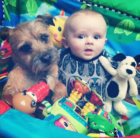 Η ιστορία της απόλυτης αθωότητας που λιώνει το Ιντερνετ -Ο σκύλος και το μωρό που κάνουν τα πάντα μαζί [εικόνες] | iefimerida.gr 3