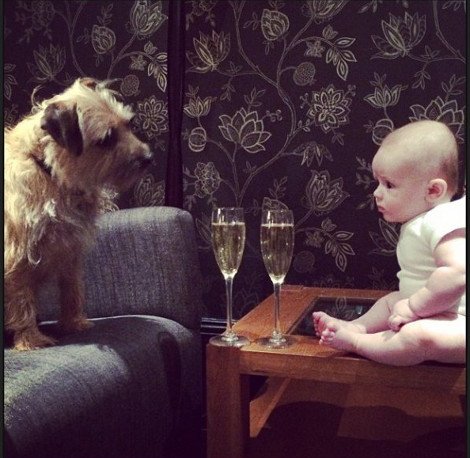 Η ιστορία της απόλυτης αθωότητας που λιώνει το Ιντερνετ -Ο σκύλος και το μωρό που κάνουν τα πάντα μαζί [εικόνες] | iefimerida.gr 4