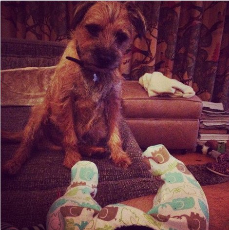 Η ιστορία της απόλυτης αθωότητας που λιώνει το Ιντερνετ -Ο σκύλος και το μωρό που κάνουν τα πάντα μαζί [εικόνες] | iefimerida.gr 6