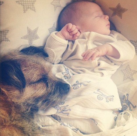 Η ιστορία της απόλυτης αθωότητας που λιώνει το Ιντερνετ -Ο σκύλος και το μωρό που κάνουν τα πάντα μαζί [εικόνες] | iefimerida.gr 7