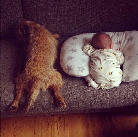 Η ιστορία της απόλυτης αθωότητας που λιώνει το Ιντερνετ -Ο σκύλος και το μωρό που κάνουν τα πάντα μαζί [εικόνες] | iefimerida.gr 8