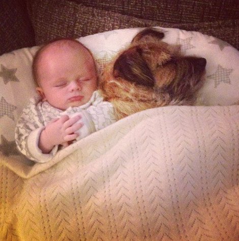 Η ιστορία της απόλυτης αθωότητας που λιώνει το Ιντερνετ -Ο σκύλος και το μωρό που κάνουν τα πάντα μαζί [εικόνες] | iefimerida.gr 9