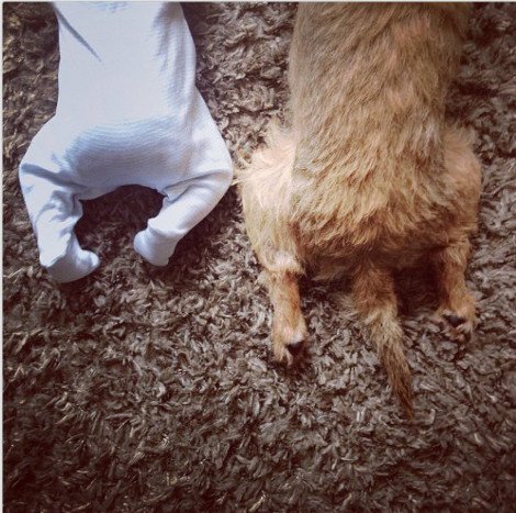 Η ιστορία της απόλυτης αθωότητας που λιώνει το Ιντερνετ -Ο σκύλος και το μωρό που κάνουν τα πάντα μαζί [εικόνες] | iefimerida.gr 10