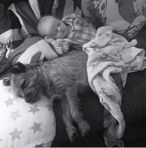 Η ιστορία της απόλυτης αθωότητας που λιώνει το Ιντερνετ -Ο σκύλος και το μωρό που κάνουν τα πάντα μαζί [εικόνες] | iefimerida.gr 11