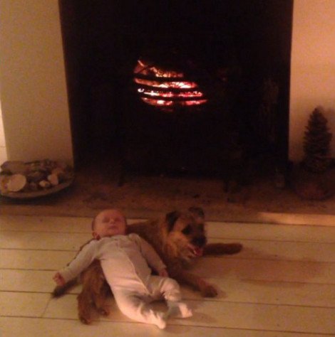 Η ιστορία της απόλυτης αθωότητας που λιώνει το Ιντερνετ -Ο σκύλος και το μωρό που κάνουν τα πάντα μαζί [εικόνες] | iefimerida.gr 1