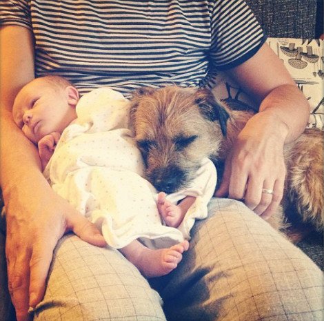 Η ιστορία της απόλυτης αθωότητας που λιώνει το Ιντερνετ -Ο σκύλος και το μωρό που κάνουν τα πάντα μαζί [εικόνες] | iefimerida.gr 12
