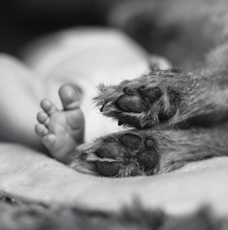 Η ιστορία της απόλυτης αθωότητας που λιώνει το Ιντερνετ -Ο σκύλος και το μωρό που κάνουν τα πάντα μαζί [εικόνες] | iefimerida.gr 13