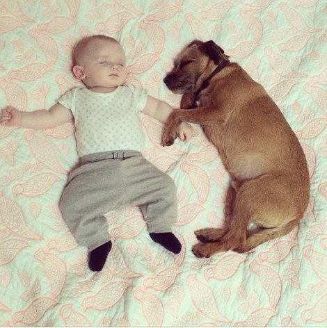 Η ιστορία της απόλυτης αθωότητας που λιώνει το Ιντερνετ -Ο σκύλος και το μωρό που κάνουν τα πάντα μαζί [εικόνες] | iefimerida.gr 14