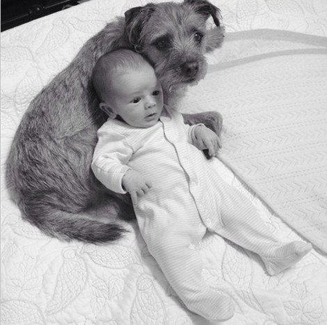 Η ιστορία της απόλυτης αθωότητας που λιώνει το Ιντερνετ -Ο σκύλος και το μωρό που κάνουν τα πάντα μαζί [εικόνες] | iefimerida.gr 15