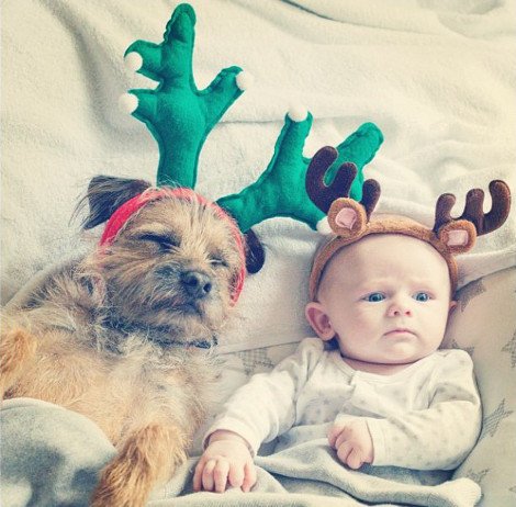 Η ιστορία της απόλυτης αθωότητας που λιώνει το Ιντερνετ -Ο σκύλος και το μωρό που κάνουν τα πάντα μαζί [εικόνες] | iefimerida.gr 18