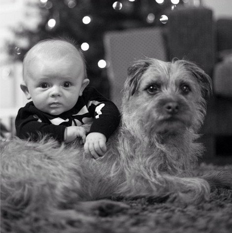 Η ιστορία της απόλυτης αθωότητας που λιώνει το Ιντερνετ -Ο σκύλος και το μωρό που κάνουν τα πάντα μαζί [εικόνες] | iefimerida.gr 16