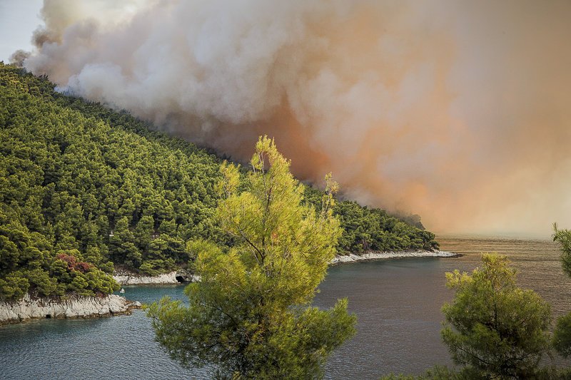 Σε εξέλιξη η μεγάλη φωτιά στη Σκόπελο -Καίει ανεξέλεγκτα πευκοδάσος | iefimerida.gr 0