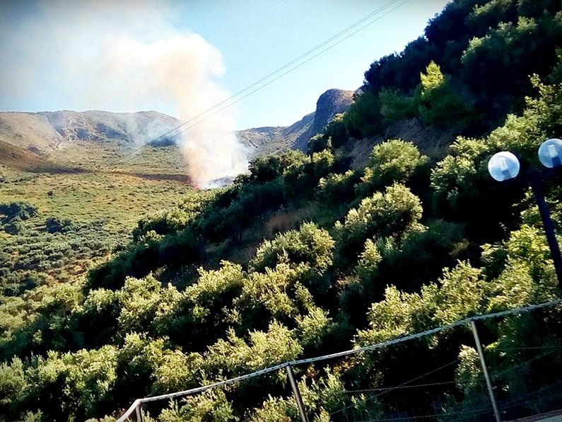 Μεγάλη πυρκαγιά στο Αργάσι Ζακύνθου -Κάηκαν ζώα [εικόνες] | iefimerida.gr 1
