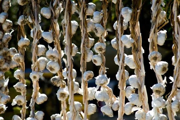 Αυτά είναι τα 6 τρόφιμα που είναι φρεσκότατα και εντός εποχής τον Ιούνιο [εικόνες] | iefimerida.gr 5