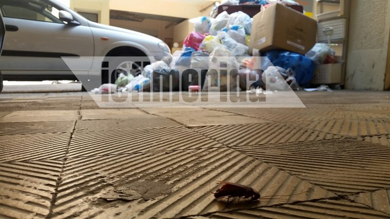 Απελπιστική η κατάσταση με τα σκουπίδια στην Κυψέλη -Σχηματίζουν βουνά, κάνουν πάρτι οι κατσαρίδες [εικόνες] | iefimerida.gr 5