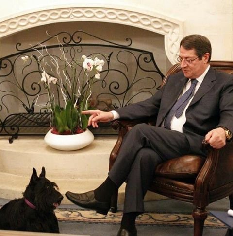 Αυτοκίνητο της προεδρικής φρουράς σκότωσε το σκύλο του Νίκου Αναστασιάδη | iefimerida.gr 0