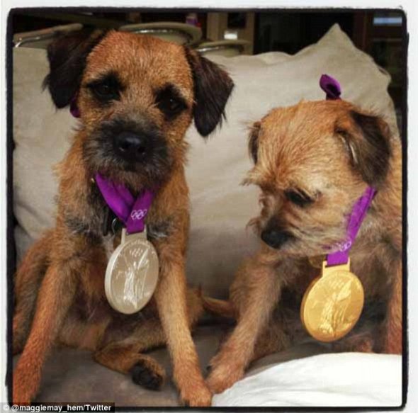 Πώς δύο σκύλοι βρέθηκαν να φορούν... ολυμπιακά μετάλλια; [εικόνα] | iefimerida.gr 0