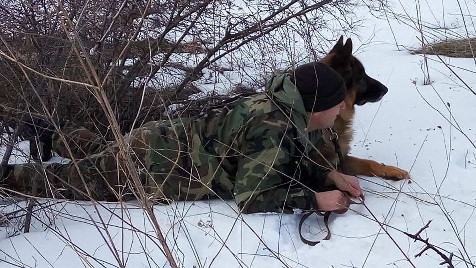 Τα λυκόσκυλα του Στρατού εν δράσει -Κάνουν περιπολίες, στήνουν ενέδρες και πιάνουν εισβολείς [εικόνα] | iefimerida.gr 5