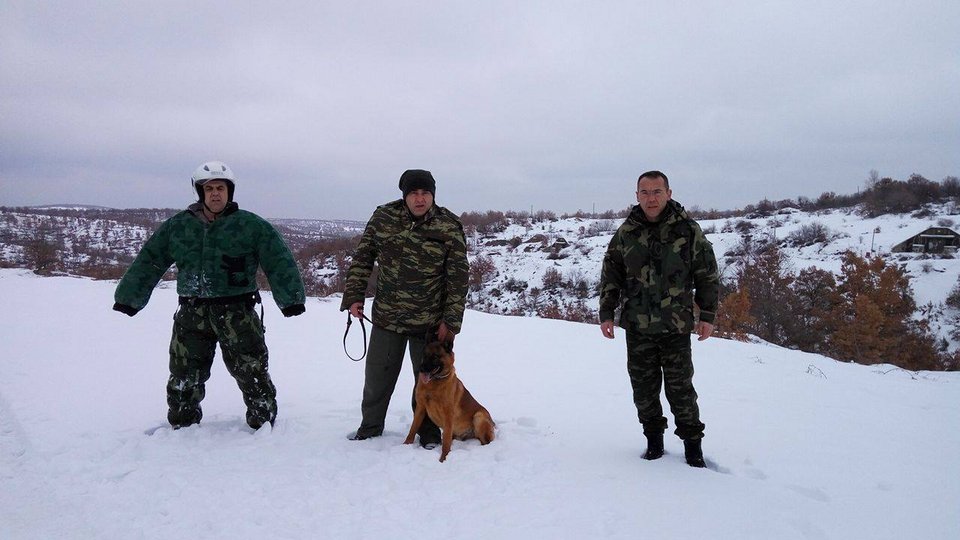 Τα λυκόσκυλα του Στρατού εν δράσει -Κάνουν περιπολίες, στήνουν ενέδρες και πιάνουν εισβολείς [εικόνα] | iefimerida.gr 6