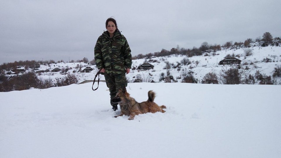 Τα λυκόσκυλα του Στρατού εν δράσει -Κάνουν περιπολίες, στήνουν ενέδρες και πιάνουν εισβολείς [εικόνα] | iefimerida.gr 7